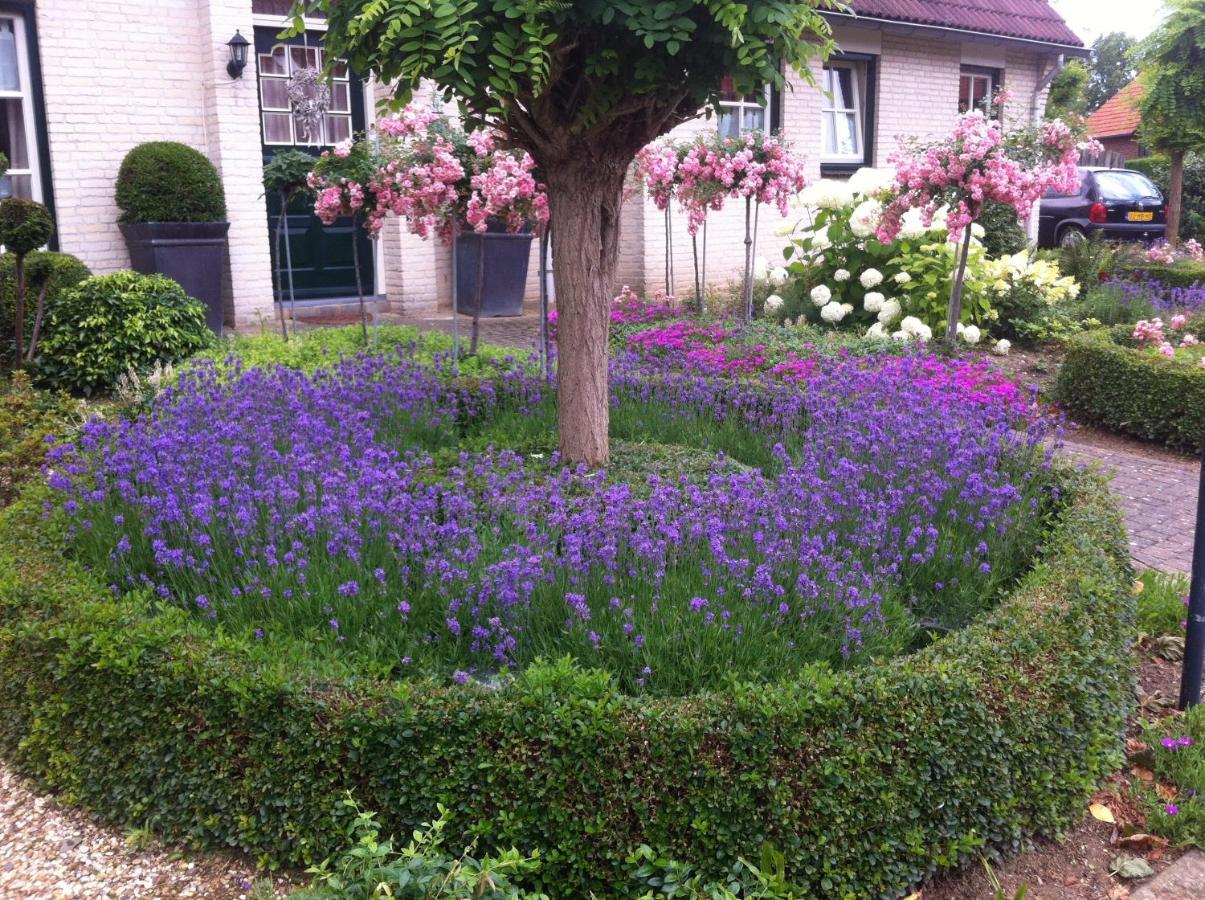 Chalet Or Apartment Nearby Roermond Outlet Stevensweert ภายนอก รูปภาพ