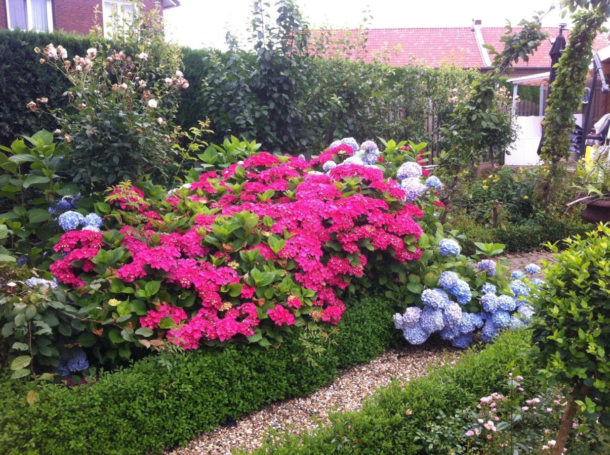 Chalet Or Apartment Nearby Roermond Outlet Stevensweert ภายนอก รูปภาพ
