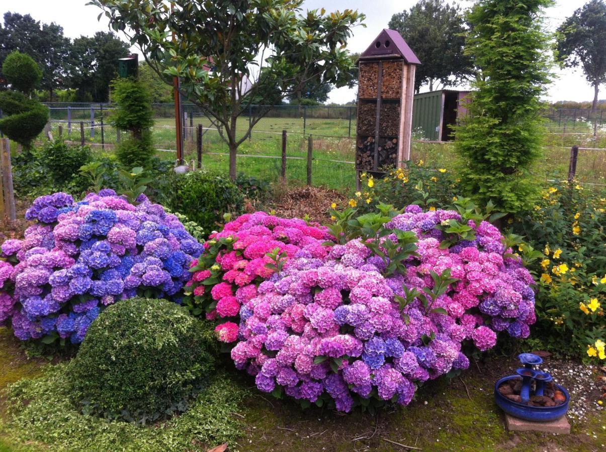 Chalet Or Apartment Nearby Roermond Outlet Stevensweert ภายนอก รูปภาพ